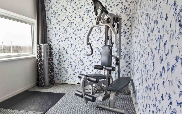 ibis Styles Amsterdam Airport (new)