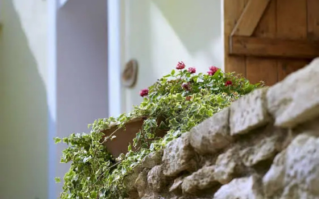 Petronikolis Traditional House