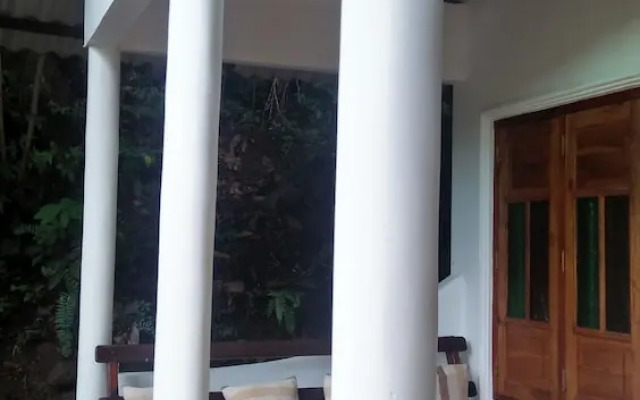 The Jungle House