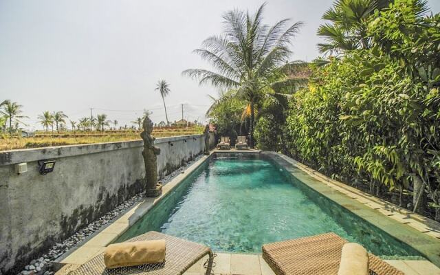 Villa Di Sawah Pejeng