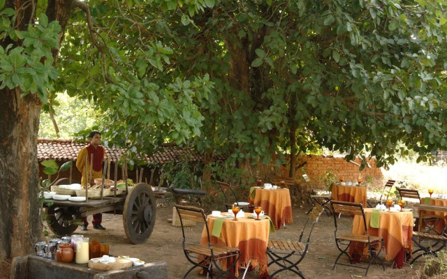 Mahua Kothi, A Taj Safari - Bandhavgarh National Park