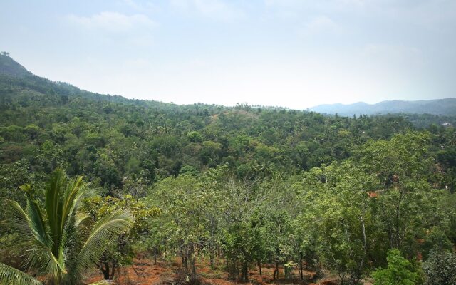 OYO 10460 Hotel Bethel Homestay