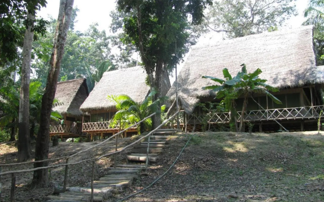 Lodge Jungle Wolf Expeditions