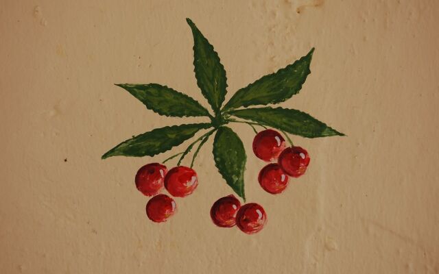 Agriturismo Monticello Di SantAlpestro