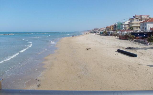 Il Ritrovo Delle Coccinelle