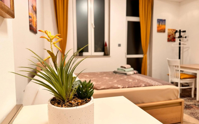 Private Studio Center Opera and Nevski Cathedral