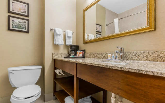 Comfort Inn & Suites Mishawaka - South Bend