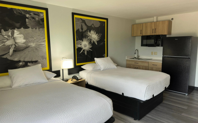 Super 8 by Wyndham Alexandria LA