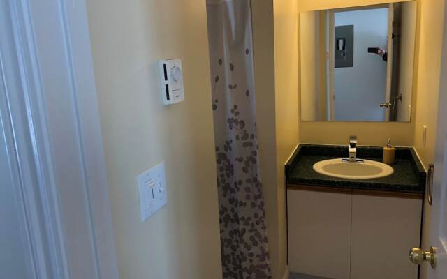 The Shores of Deer Lake