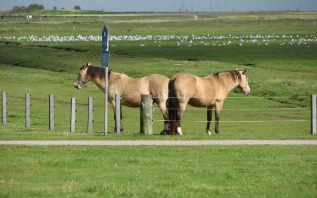 Seevilla Wietjes Whg 5