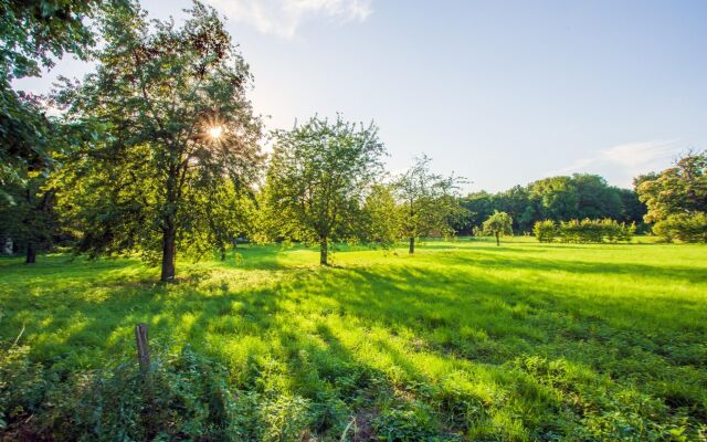 Charming Villa Near Maastricht and Hillside