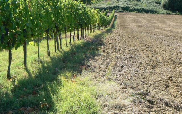 Appartamento vicino a Siena