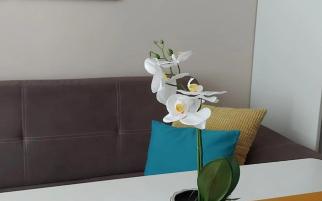 HostEx Meraki Apartment