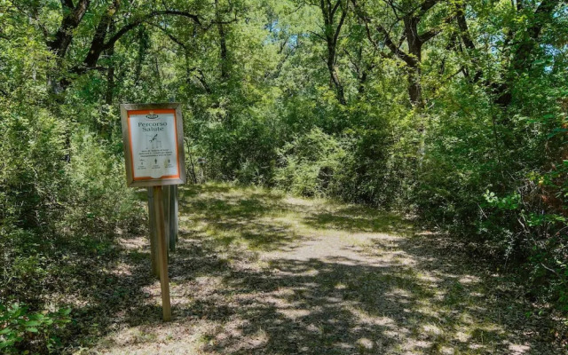 Vibrant Holiday Home in Castiglione del Lago