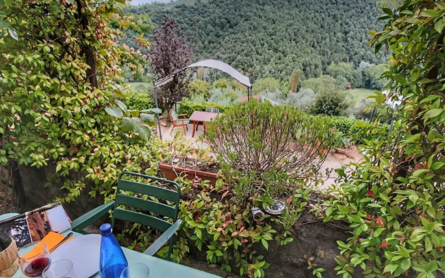 Country House With Swimming Pool and Garden With Mediterranean Plants