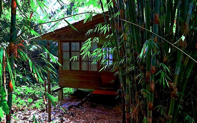 Huella Verde Rainforest Lodge