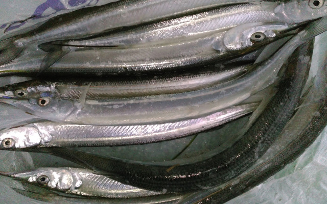 Minshuku Takahashi Kashibuneten