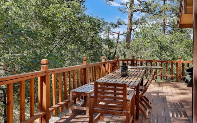 Alpine Adventure #2166