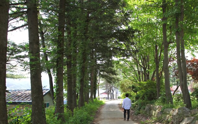 Daeseong-ri Clean Hangang Camp Pension