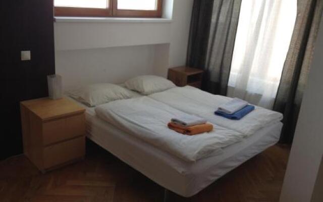 Penthouse Apartment in Vinohrady