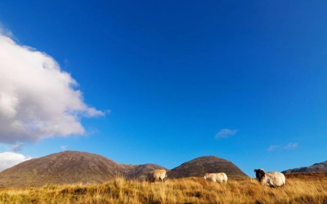 Atlantic Coast Hotel