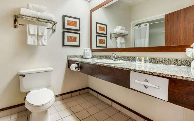 Comfort Inn Summerville - Charleston
