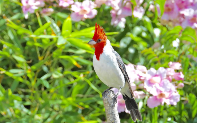 Viento Azul Guest House