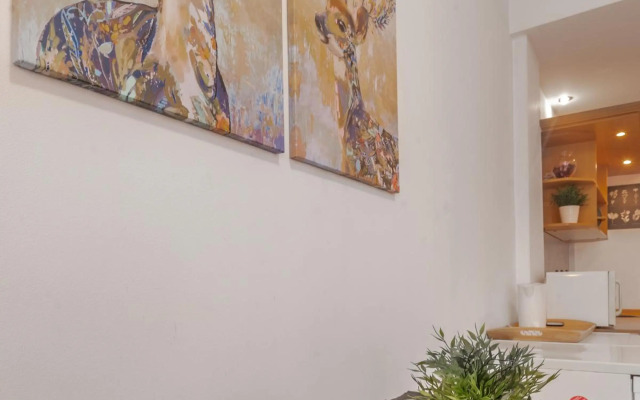 Charming Studio on Vitosha Street