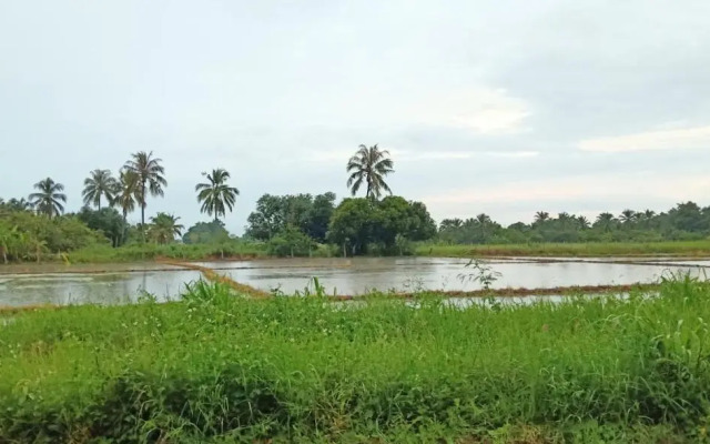 Bannoi Himsuan