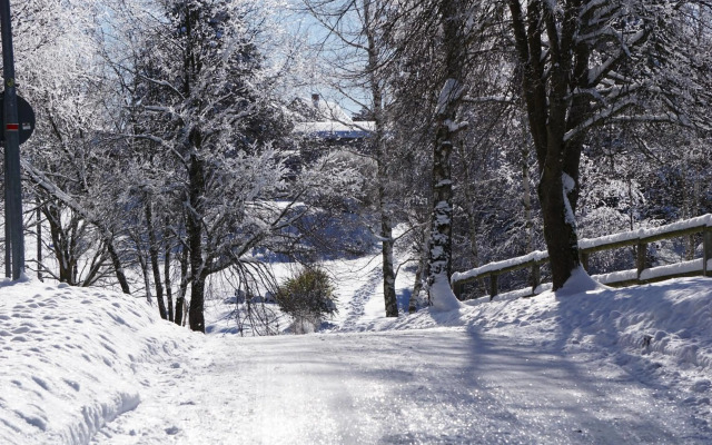 Wanderlust - Thüringer Wald, Rennsteig, Finsterbergen