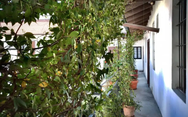 Room in Apartment - Studio Flat 15 Min From Milancenter