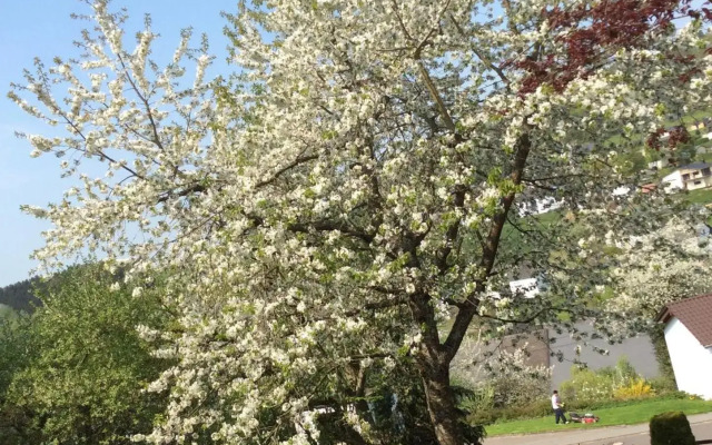 Ferienwohnung Zum Harpelstein