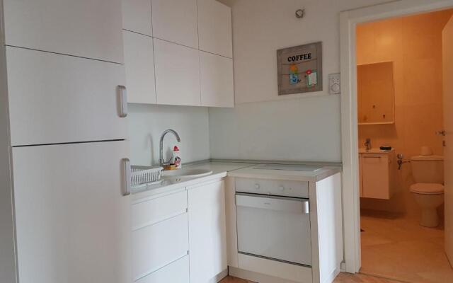 Apartment Simić