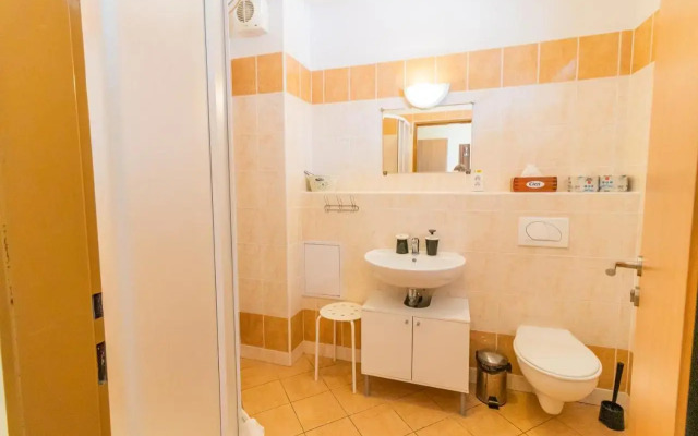 Apartmán Velké Losiny