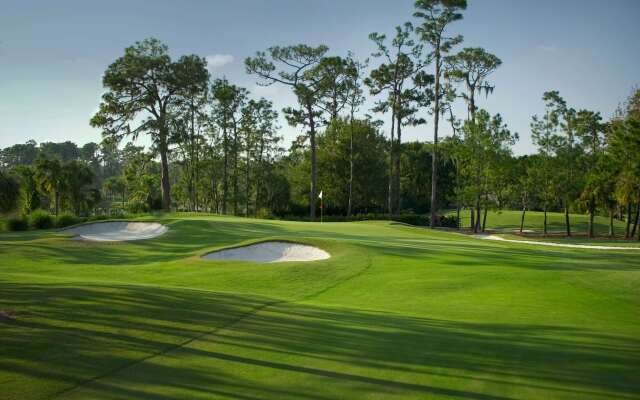 Saddlebrook Golf Resort & Spa Tampa North - Wesley Chapel