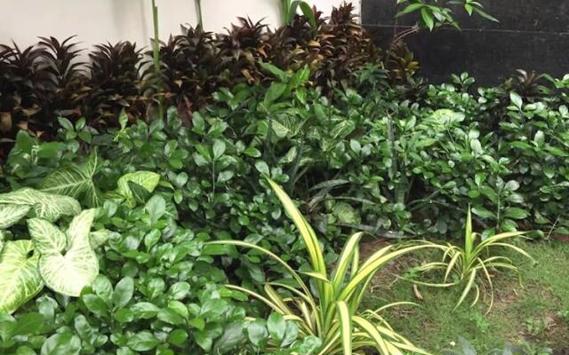 Nup Saigon Homestay - Hostel