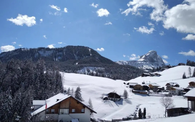 Belodei