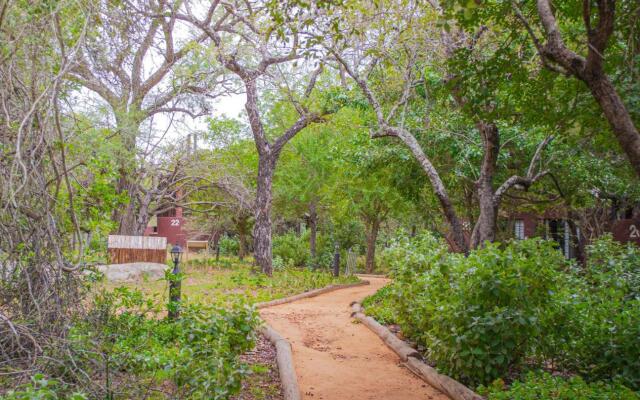 Burchells Bush Lodge
