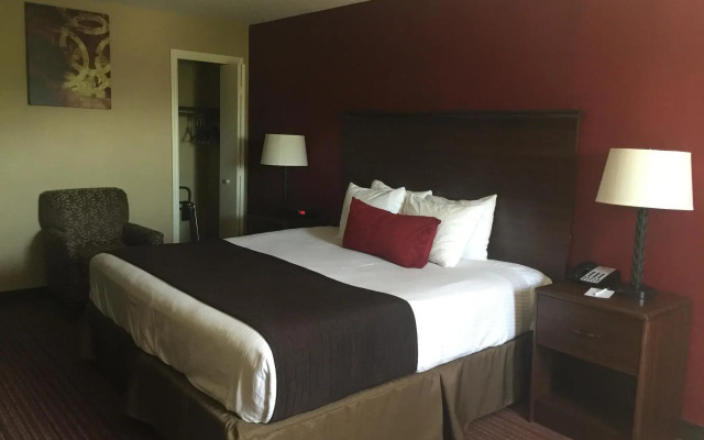 SureStay Plus by Best Western San Antonio Fiesta Inn