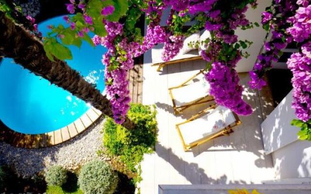 Villa Agnes