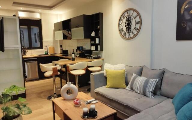 Luxurious apartment in the heart of town !
