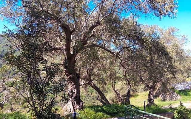 L'antica Quercia B&B