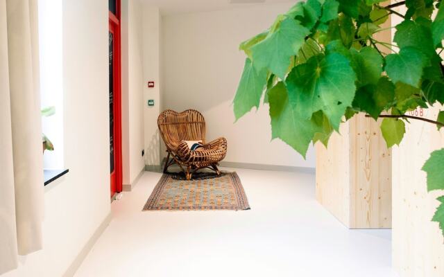 The Green Elephant Hostel & Spa