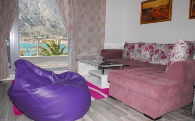 Bjelica Apartments Kotor