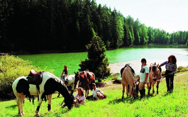 Chalet in Vex Near Ski Slopes