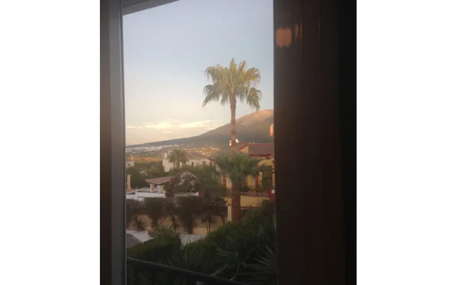 Palms And Lights