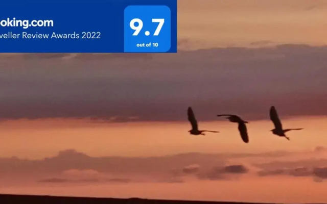 Sun, Mountain & Adventure - Boutique