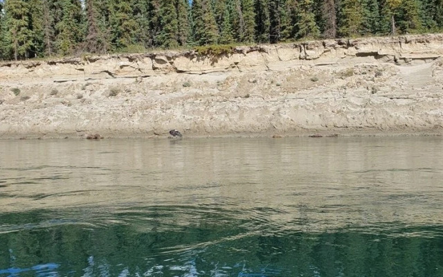 Destination Family Hotel