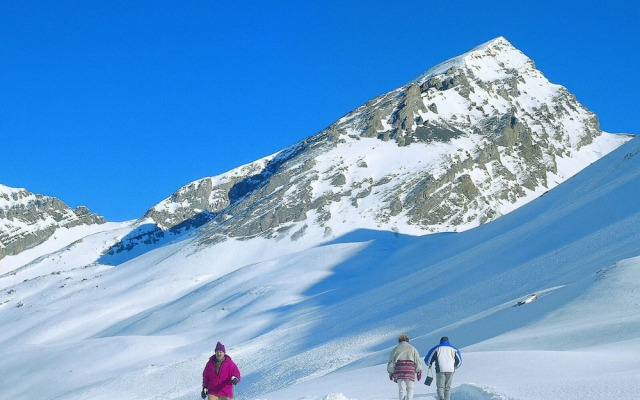 Lovely Chalet 500m From Transport