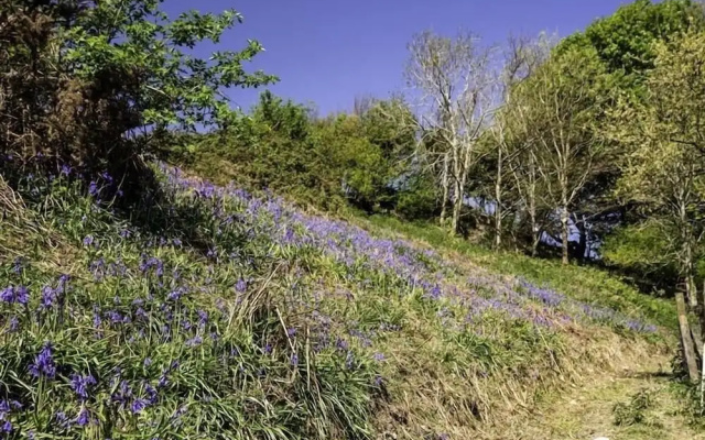 Valley View Farm Annexe